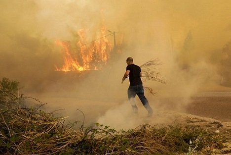 Floresta do Prado arde