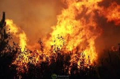 Veículo Florestal dos BVA mantêm-se atento a eventuais reacendimentos no fogo de Casal de Além