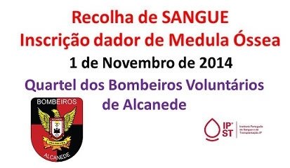 BVA organizam recolha de sangue e de medula óssea