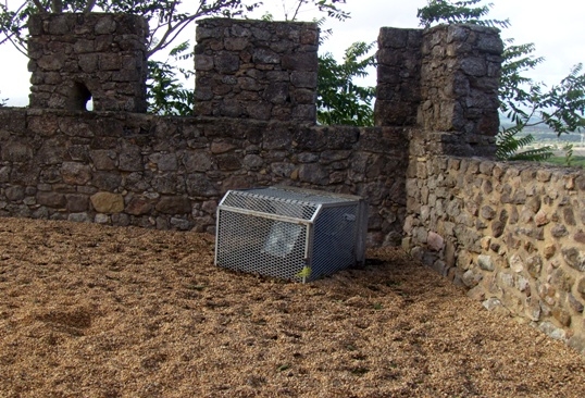 Vandalismo no Castelo de Alcanede – Uma sugestão