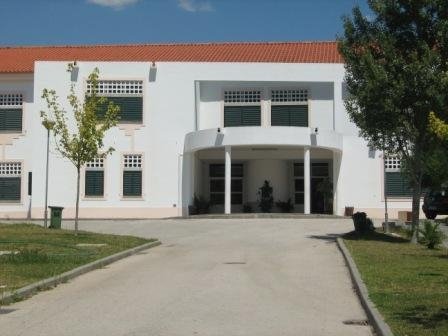 Mega-agrupamento de escolas Alcanede/Pernes aprovado pela Câmara de Santarém