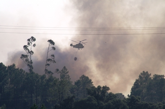 Incêndio que deflagrou na freguesia de Alcanede foi extinto às 18 horas