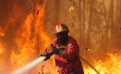 Violação da base de dados dos bombeiros de Alcanede motiva queixa-crime no Ministério Público