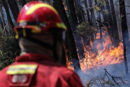 PJ detêm suspeito da ignição de fogos na região de Alcanede