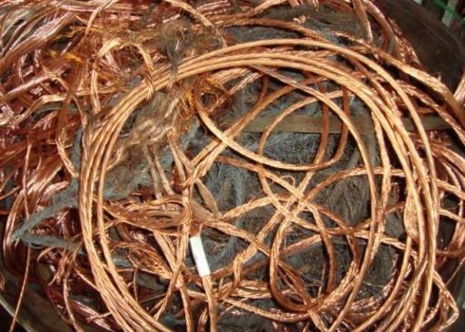 Pinhal de Alcanede esconde 600 quilos de cobre dissimulado na vegetação
