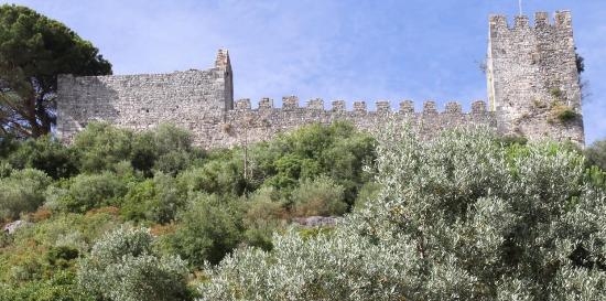 Castelo de Alcanede alvo de trabalhos de conservação até ao próximo mês de Outubro