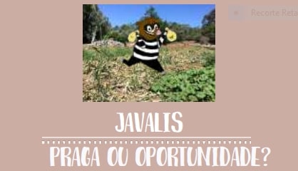 Javalis – praga ou oportunidade? Tema de Conferência Escolar online dia 14 de abril
