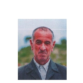 Vitor Manuel Ferreira Rosa