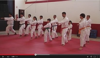 Vídeo – Demonstração de Karaté durante as festas de Alcanede tenta captar adeptos para a modalidade