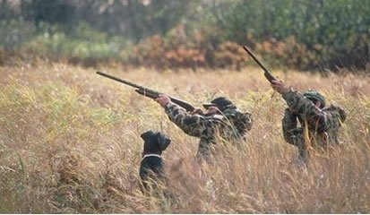 Arma de caça tira vida a Nuno Aires de 38 anos