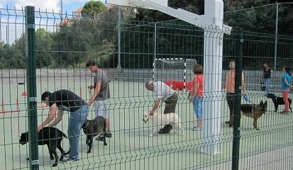 Centro Veterinário de Alcanede promove 2ª Jornadas