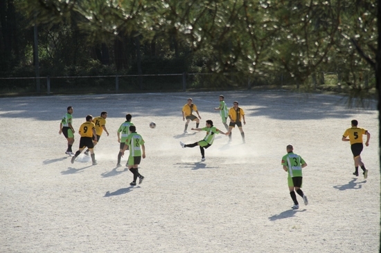 Temos Campeão