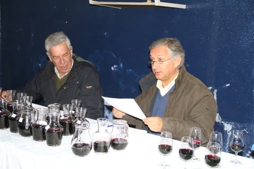 21 Produtores marcaram presença na VI Festa do Vinho de Casais da Charneca