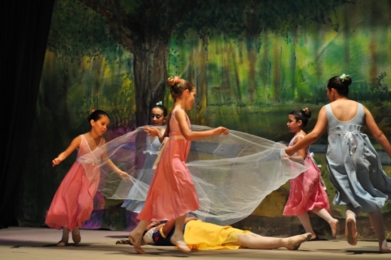 Espetáculos de Ballet encantaram públicos de Alcanede e Amiais de Baixo