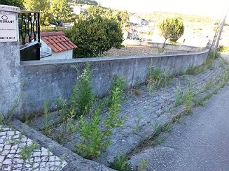 Bairro de S. João o Matagal – Por Jaime Justo