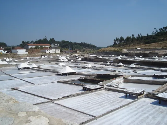 Projeto de preservação e divulgação das salinas de Rio Maior recebe prémio