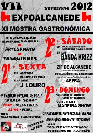 Cartaz ExpoAlcanede 2012