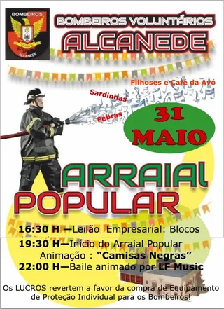 cartaz arraial 2014