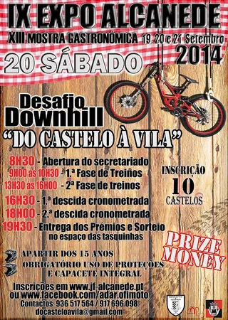 cartaz downhill 2014