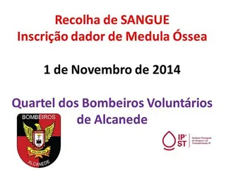 cartaz medula