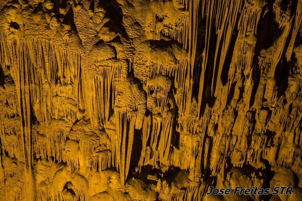 Cientistas de todo o mundo visitam o Algar do Pena em Vale da Trave – Alcanede