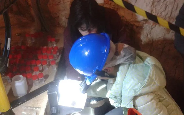 Projeto – “Algar do Pena, um Laboratório Vivo”