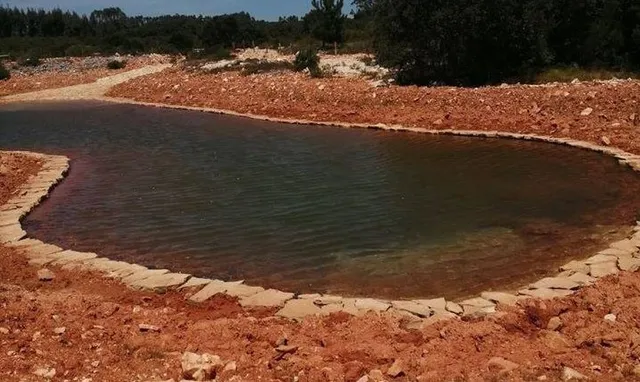 Caminhada ao Pôr do Sol na lagoa Cova dos Coelhos