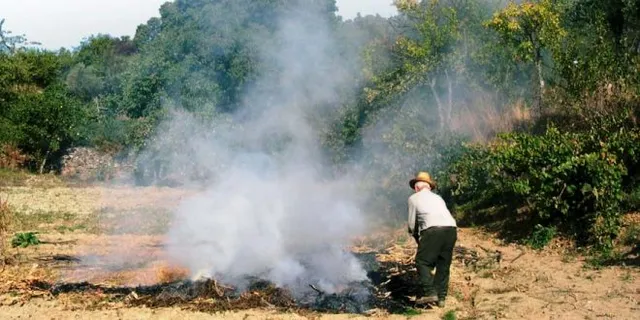 Queimadas originam vários focos de incêndio na freguesia de Alcanede este Domingo
