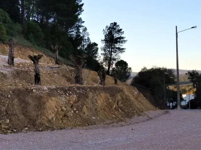 Junta de Freguesia compra terreno para requalificar zona envolvente ao Castelo de Alcanede