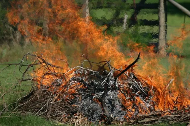 Aumento expectável da temperatura leva Proteção Civil a desaconselhar queimas e queimadas