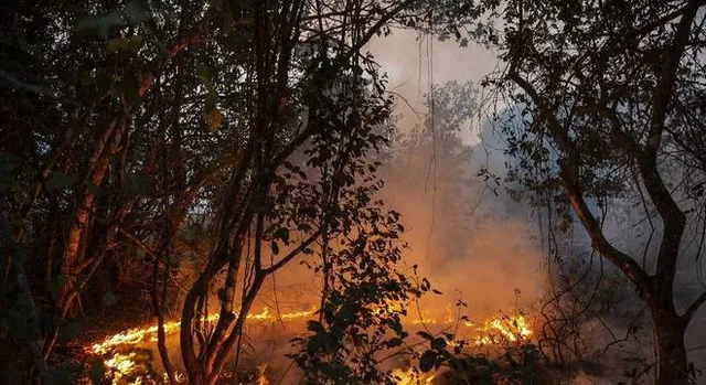 Incêndio na Espinheira mobilizou 4 dezenas de Bombeiros no teatro de operações
