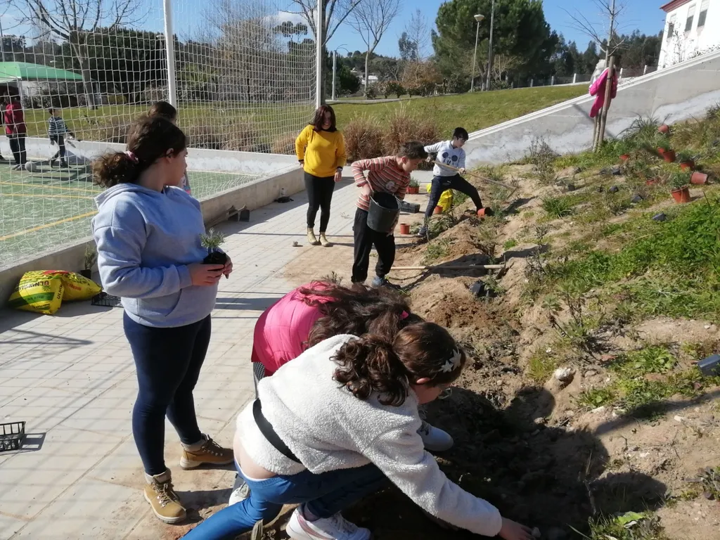 Eco-Escola: Alunos da Escola Básica de Alcanede participam na requalificação de espaço junto ao Pavilhão Desportivo