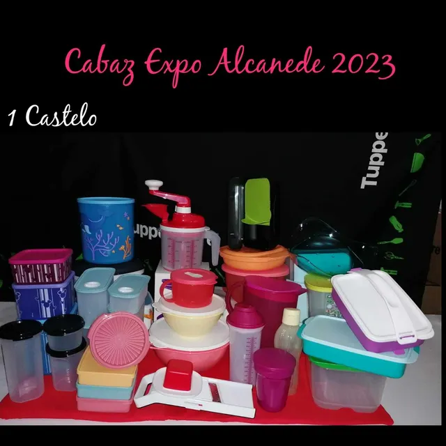 Inauguração Expo Alcanede 2023