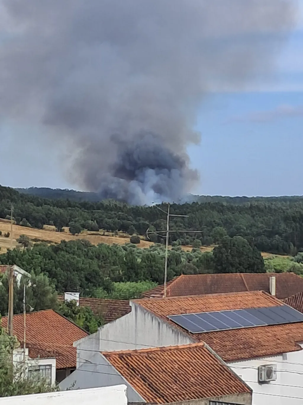 (Atualização) Incêndio Florestal em Vale das Caldas controlado após intervenção rápida e eficaz