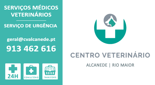 CV Alcanede